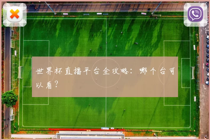 世界杯直播平台全攻略：哪个台可以看？