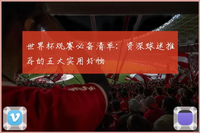 世界杯观赛必备清单：资深球迷推荐的五大实用好物