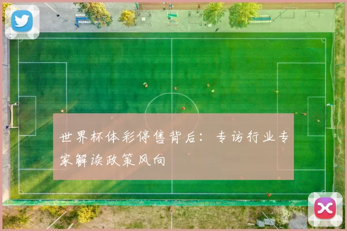 世界杯体彩停售背后：专访行业专家解读政策风向