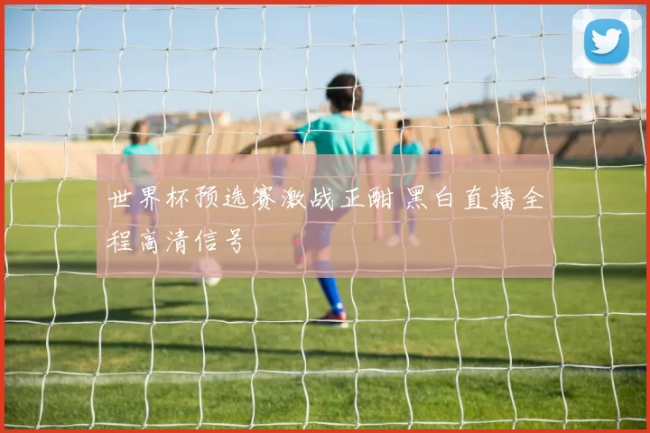 世界杯预选赛激战正酣 黑白直播全程高清信号