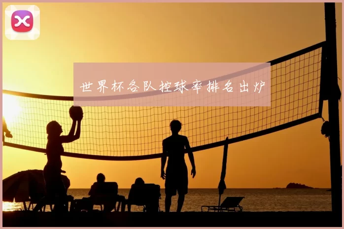 世界杯各队控球率排名出炉