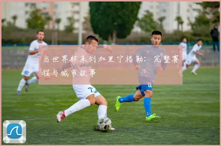 当世界杯来到加里宁格勒：完整赛程与城市故事