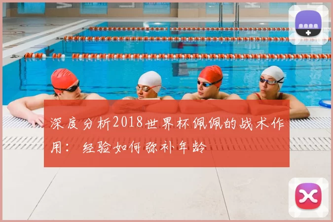 深度分析2018世界杯佩佩的战术作用：经验如何弥补年龄