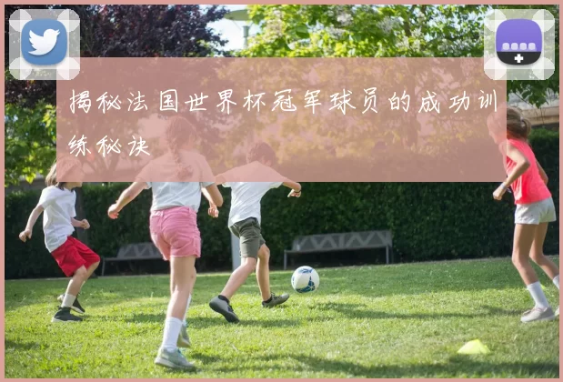 揭秘法国世界杯冠军球员的成功训练秘诀