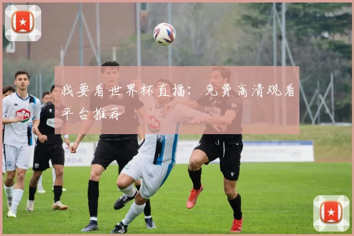 我要看世界杯直播:免费高清观看平台推荐