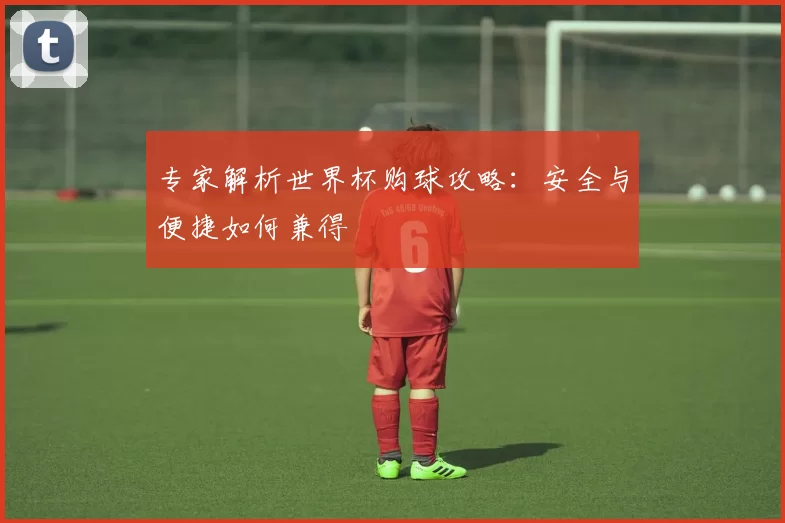专家解析世界杯购球攻略:安全与便捷如何兼得