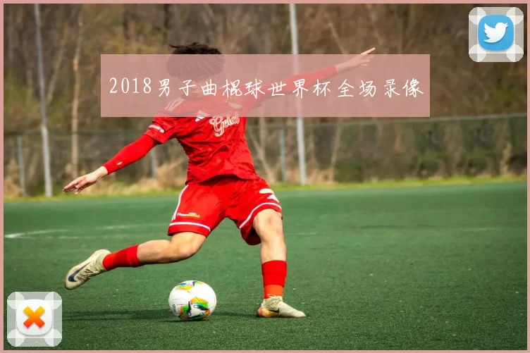 2018男子曲棍球世界杯全场录像