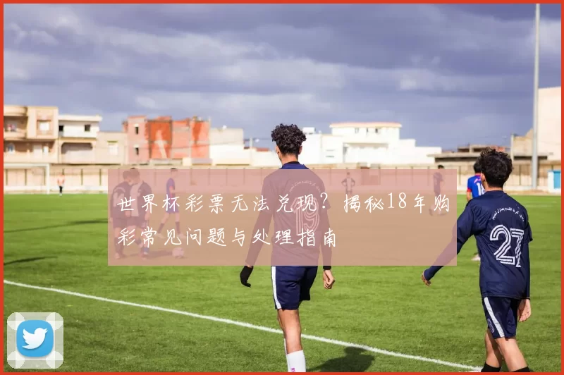 世界杯彩票无法兑现?揭秘18年购彩常见问题与处理指南