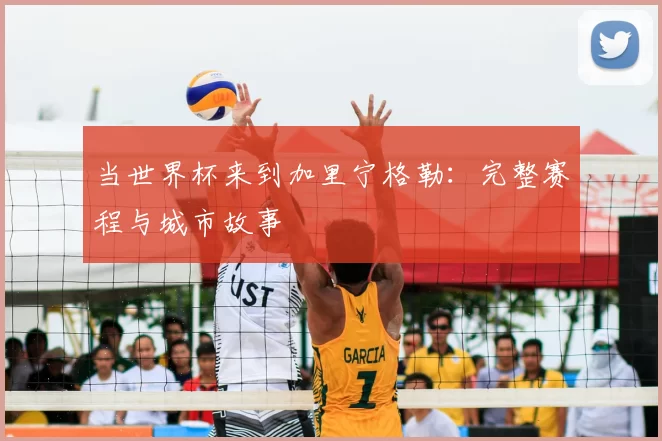 当世界杯来到加里宁格勒：完整赛程与城市故事