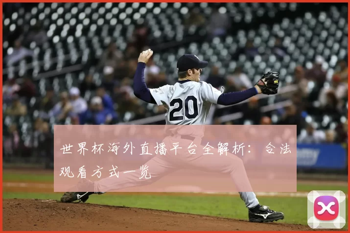 世界杯海外直播平台全解析：合法观看方式一览