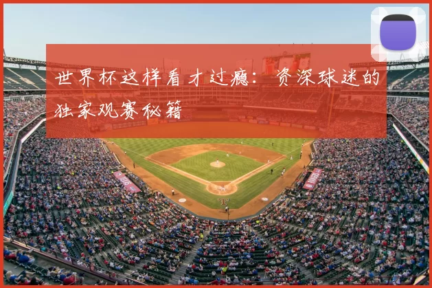 世界杯这样看才过瘾：资深球迷的独家观赛秘籍