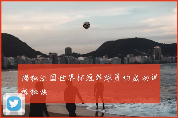 揭秘法国世界杯冠军球员的成功训练秘诀
