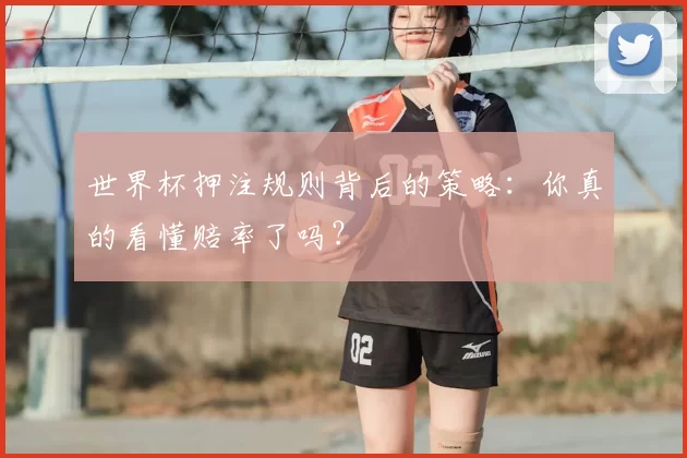 世界杯押注规则背后的策略：你真的看懂赔率了吗？