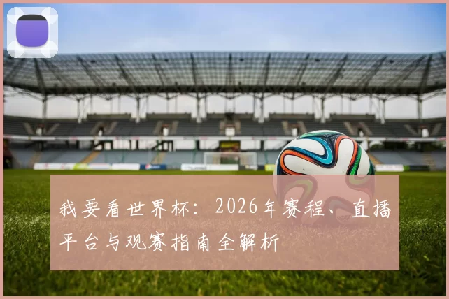 我要看世界杯:2026年赛程、直播平台与观赛指南全解析